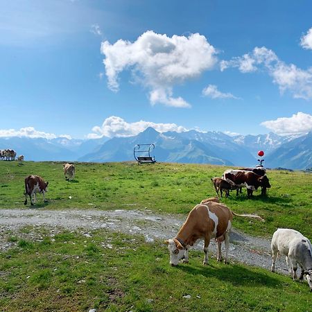 Schneekarhuette Hotel Mayrhofen Bagian luar foto