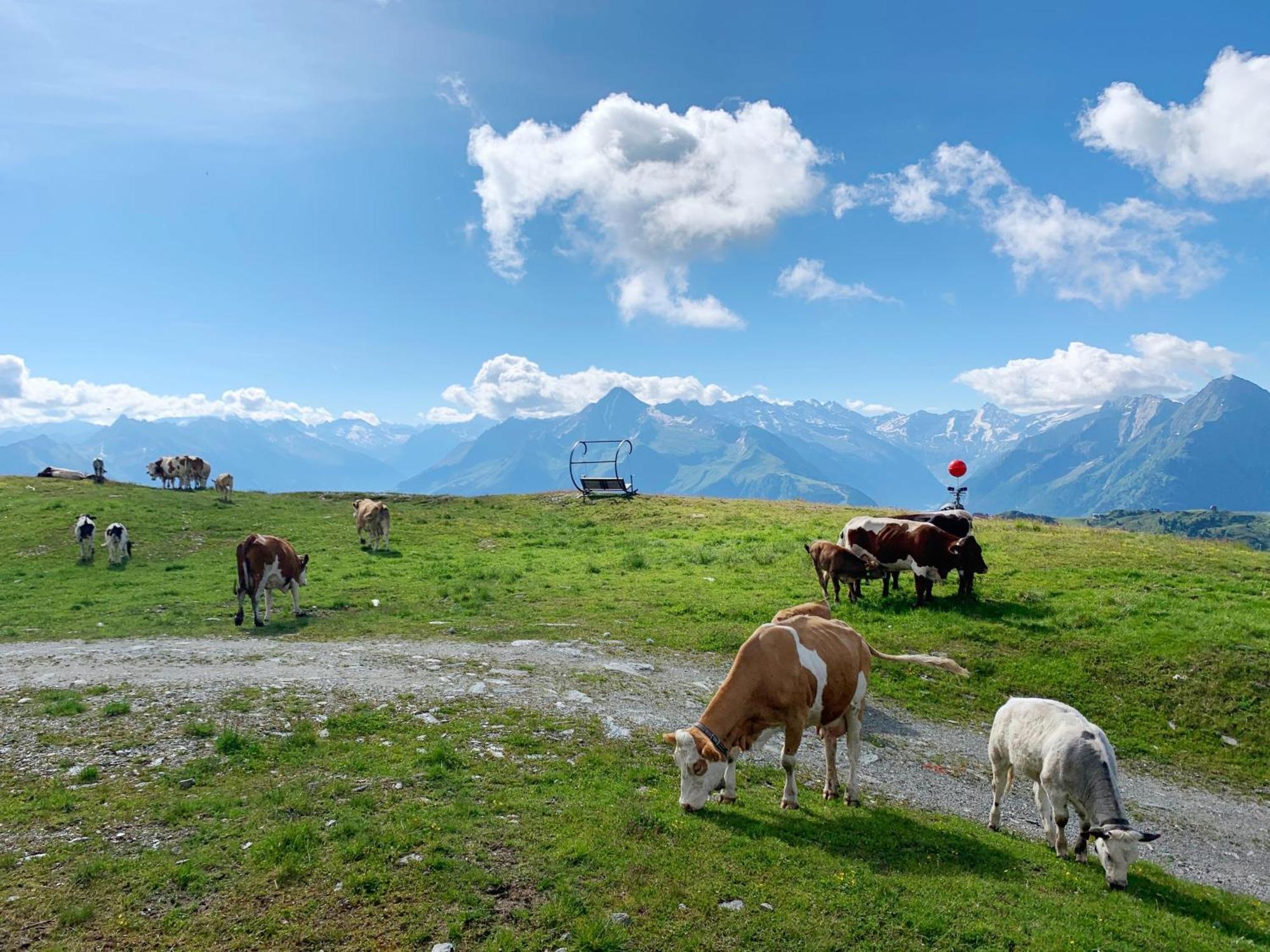 Schneekarhuette Hotel Mayrhofen Bagian luar foto