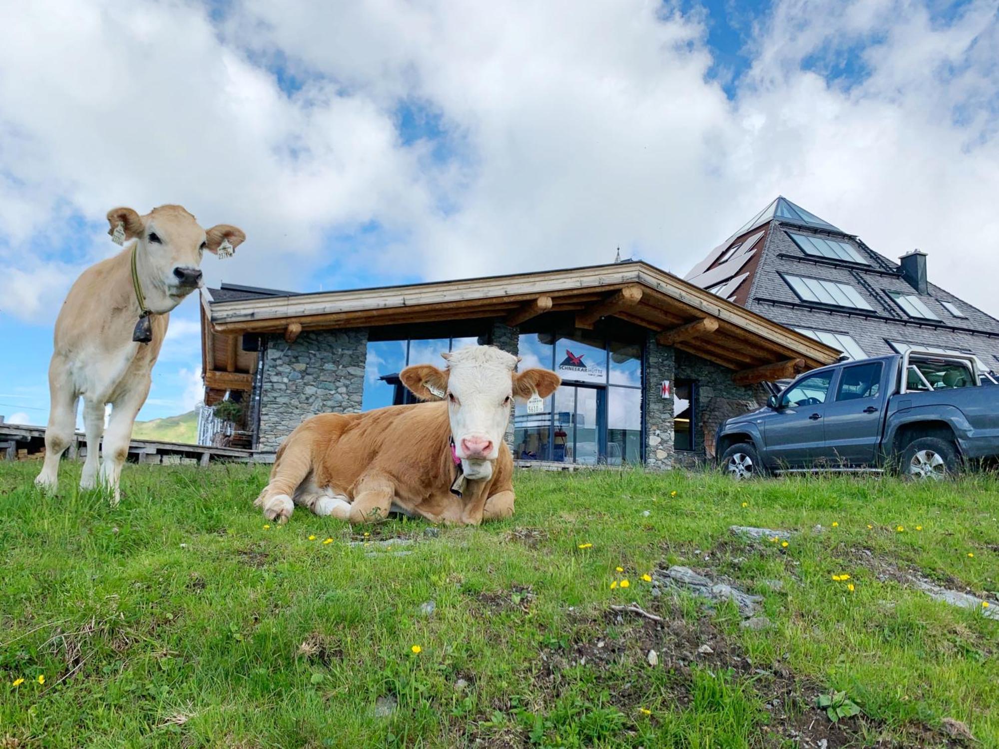 Schneekarhuette Hotel Mayrhofen Bagian luar foto